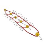 19a54a9df03ffa8418d9a11fcc4180af_C2151BY00-3